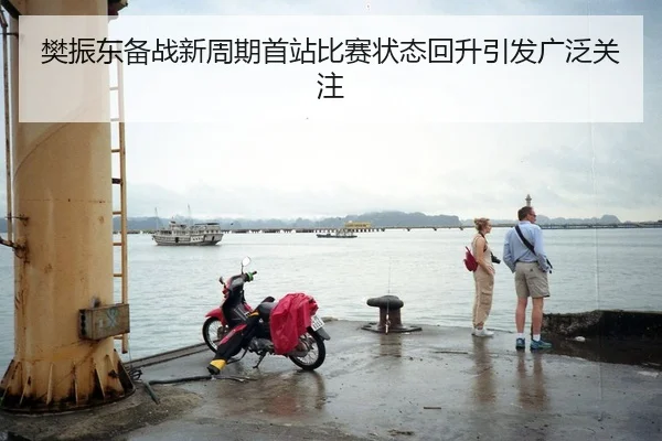 樊振东备战新周期首站比赛状态回升引发广泛关注
